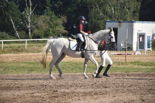 09-28-22_turnier bohm 24.07.2016  144